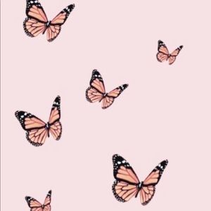 Meet your Posher, Riley